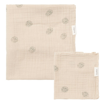 Koeka Draps tétra bébé...