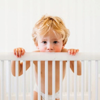 Prince lionheart -...