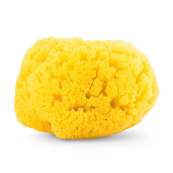 Chicco éponge de mer 100%...