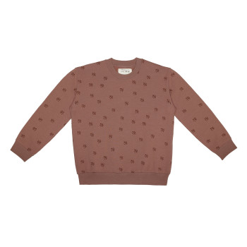 Little Indians Pull Boxy...