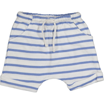 Bean's Short LOBSTER...